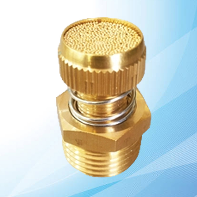 Pnömatik Ayarlı Yaylı Tip Susturucu